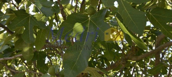 4 Schlafzimmer Villa in Ravenna, Italy, Nr. 275701 24