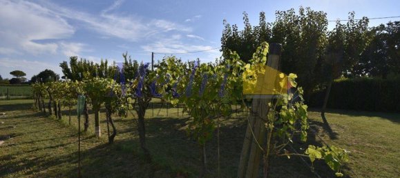 4 Schlafzimmer Villa in Ravenna, Italy, Nr. 275701 23