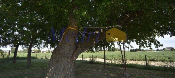 4 Schlafzimmer Villa in Ravenna, Italy, Nr. 275701 21