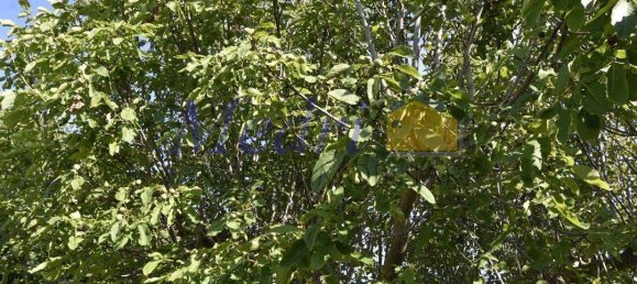 4 Schlafzimmer Villa in Ravenna, Italy, Nr. 275701 25