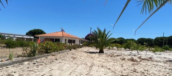 3 bedrooms House in Torrao, Portugal No. 144034 3