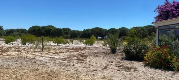 3 bedrooms House in Torrao, Portugal No. 144034 10