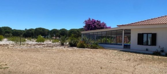 3 bedrooms House in Torrao, Portugal No. 144034 7