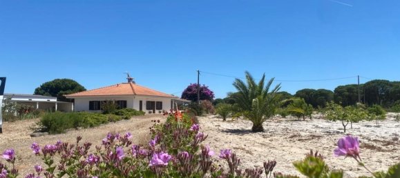 3 bedrooms House in Torrao, Portugal No. 144034 6