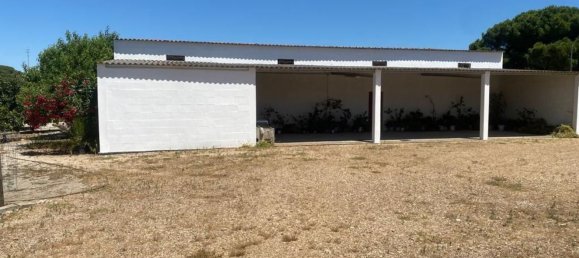 3 bedrooms House in Torrao, Portugal No. 144034 14