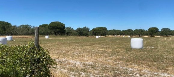 3 bedrooms House in Torrao, Portugal No. 144034 15