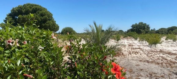 3 bedrooms House in Torrao, Portugal No. 144034 13