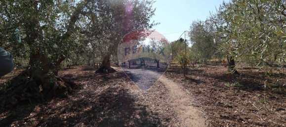 1 غرف نوم فيلا في Matera, Italy رقم 345186 26