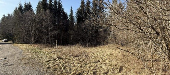Terreno en Spital am Semmering, Austria No. 64690 3