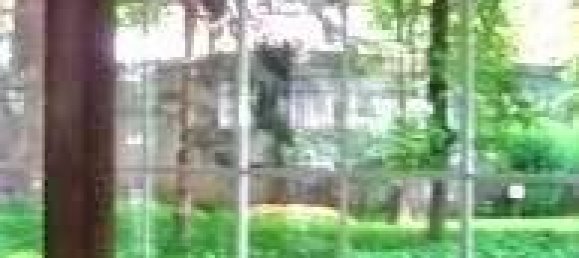 4غرفة شقة في Turin, Italy رقم 171706 26