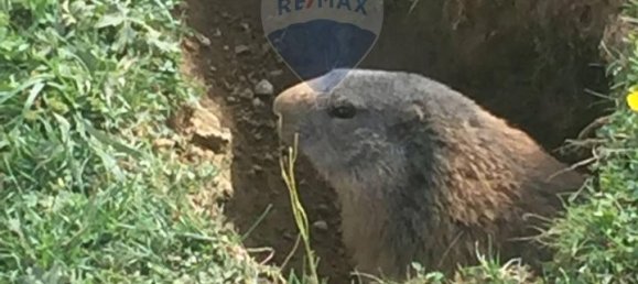 Студия в Валлеве, Италия № 122770 22