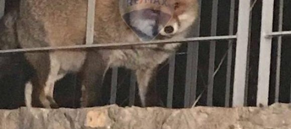 Студия в Валлеве, Италия № 122770 16