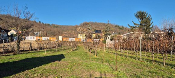 1335m² Land in Langenzersdorf, Austria No. 23630 3