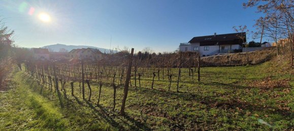 1335m² Land in Langenzersdorf, Austria No. 23630 4