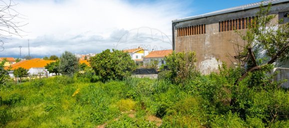 4 Schlafzimmer Haus in Avis, Portugal, Nr. 163745 44
