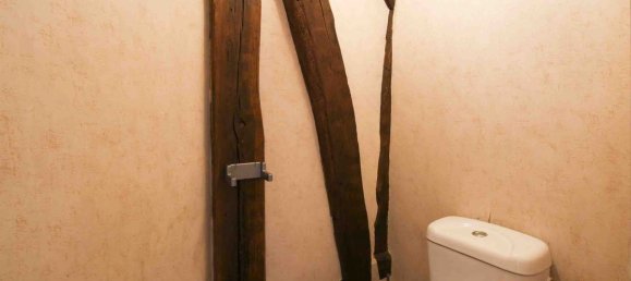 1 Schlafzimmer Gewerbliche Immobilie in Chatillon-Coligny, France, Nr. 252372 16