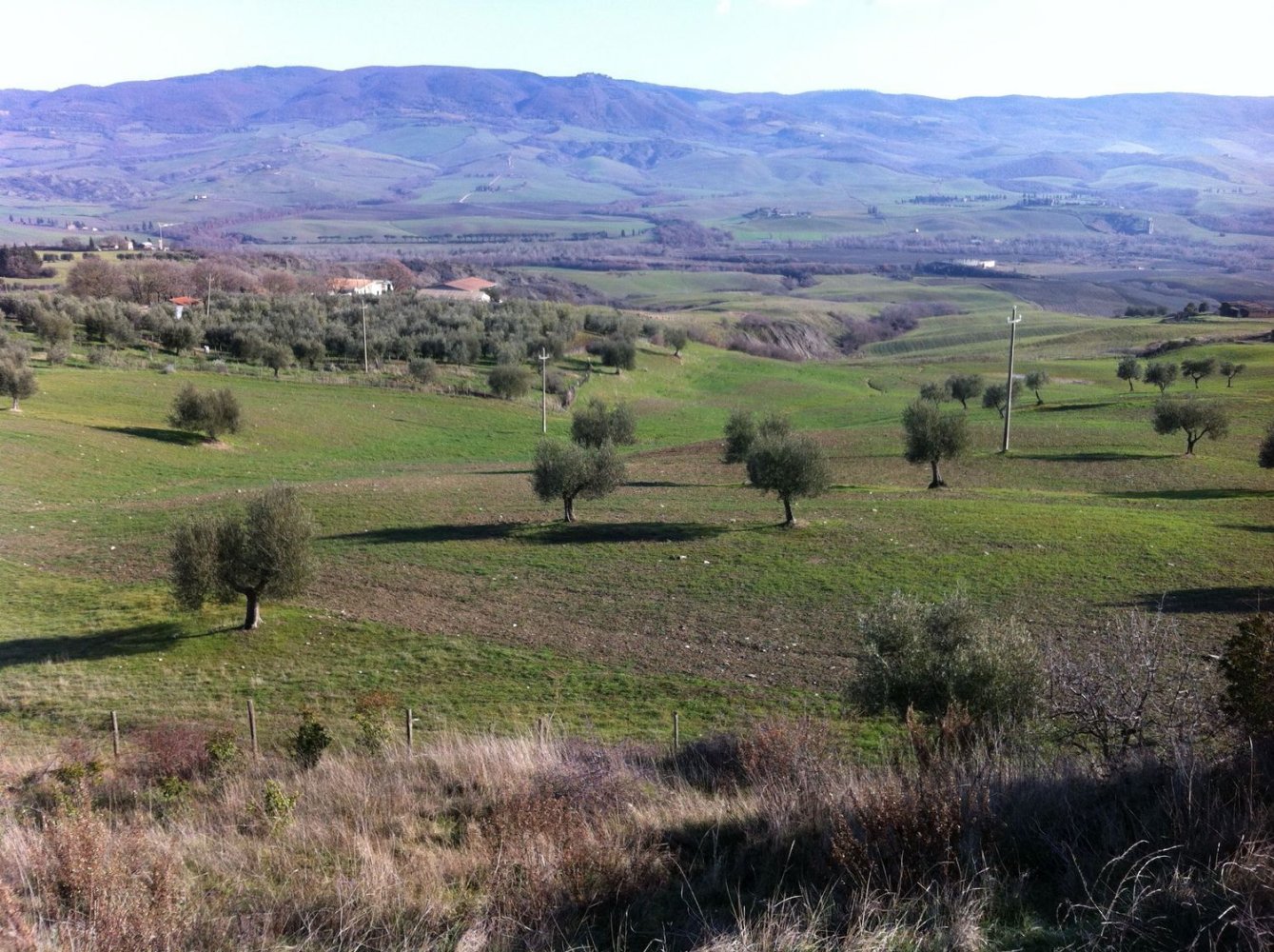 1337m² Land in Radicofani, Italy No. 146955