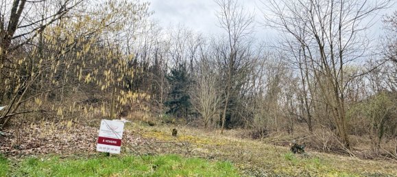  Land in Andlau, France No. 232855 7