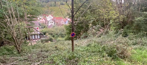  Land in Andlau, France No. 232855 4