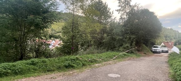  Land in Andlau, France No. 232855 3