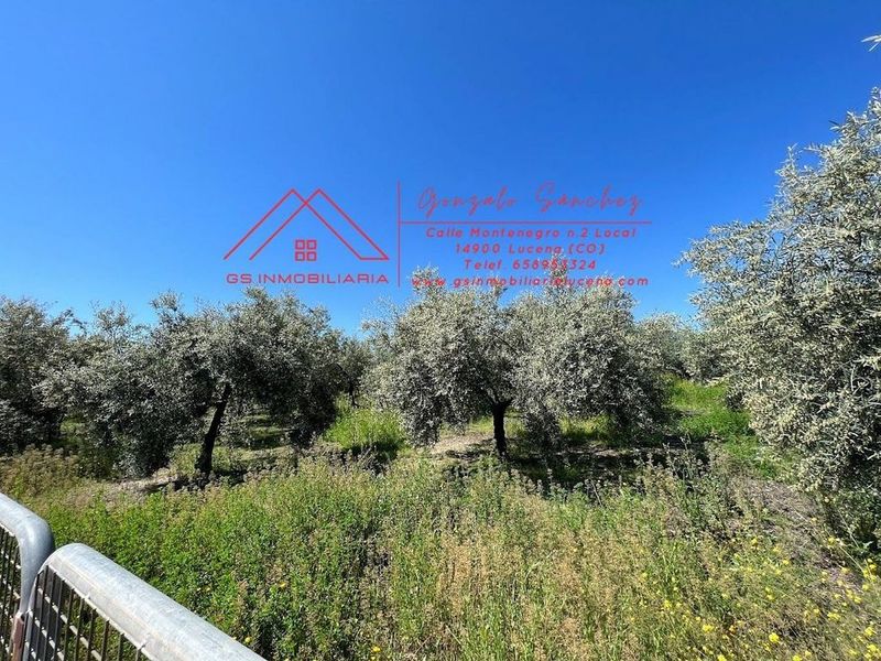 3000m² Land in Cordoba, Spain No. 221761