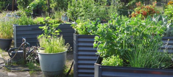 Land in Potsdam, Germany No. 223827 4