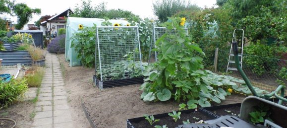 Land in Potsdam, Germany No. 223827 11