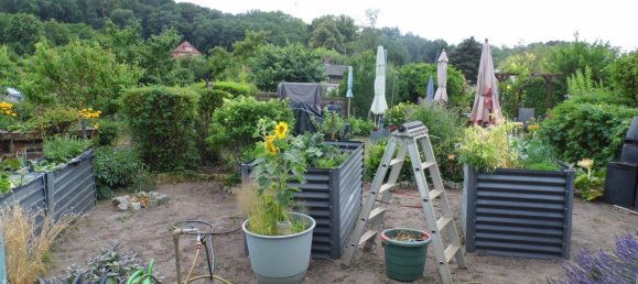 Land in Potsdam, Germany No. 223827 9