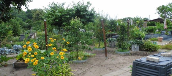 Land in Potsdam, Germany No. 223827 12