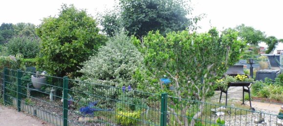 Land in Potsdam, Germany No. 223827 13