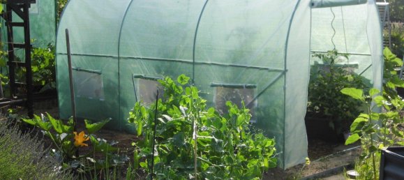 Land in Potsdam, Germany No. 223827 5