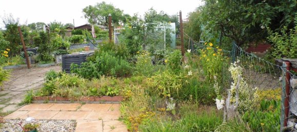 Land in Potsdam, Germany No. 223827 18