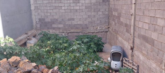  Land in Santa Cruz de Tenerife, Spain No. 148323 6