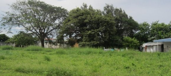  Land in Liberia, Costa Rica No. 1662 5