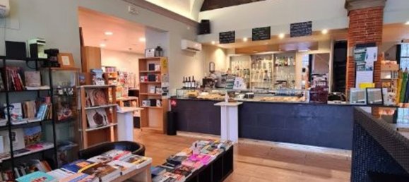 300m² Commercial property in Lucca, Italy No. 309422 5