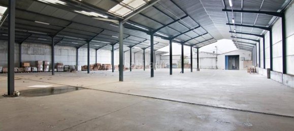 Almacén en Pulianas, Spain 4000 m² No. 181382 34