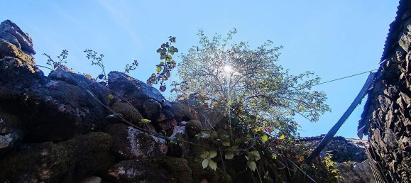 2 bedrooms House in Ponte da Barca, Portugal No. 174781 11