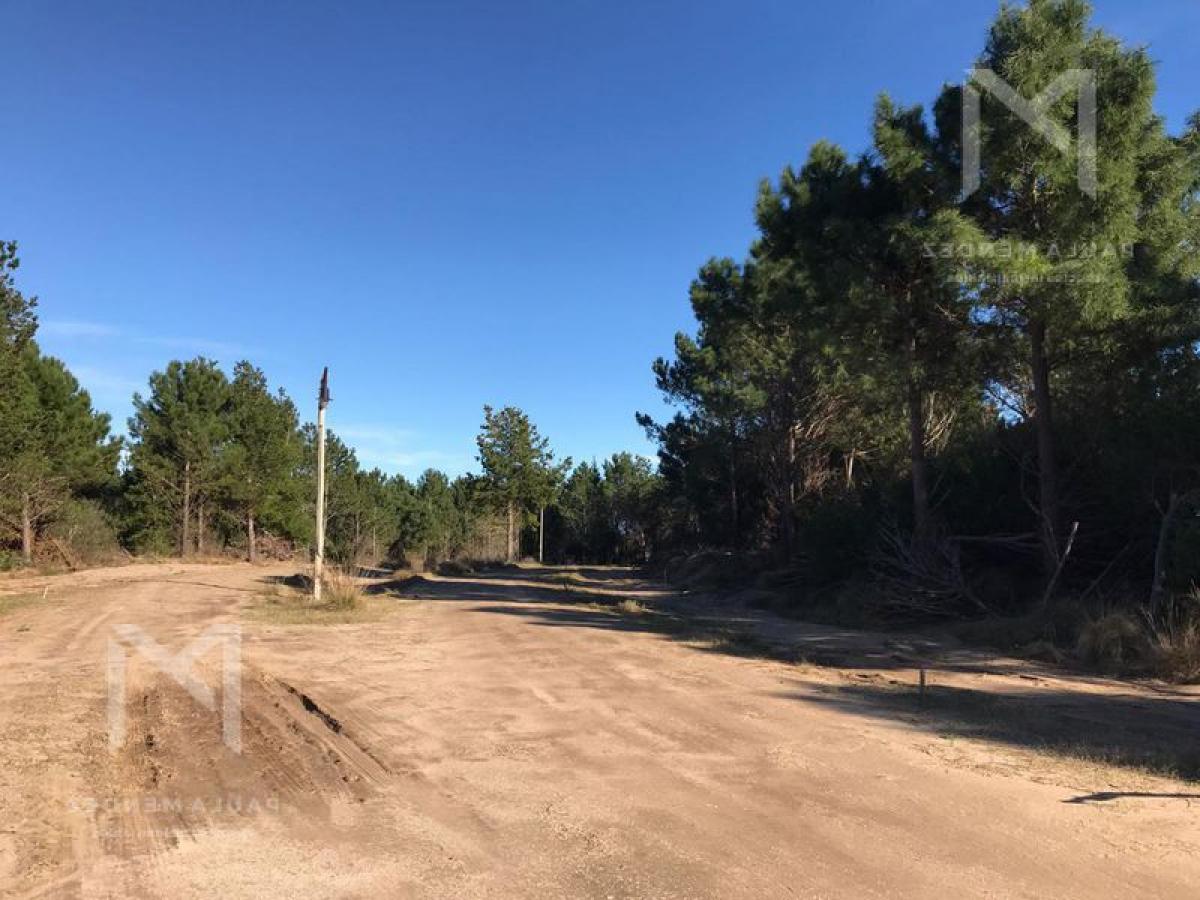  Land in Mar del Plata, Argentina No. 120061