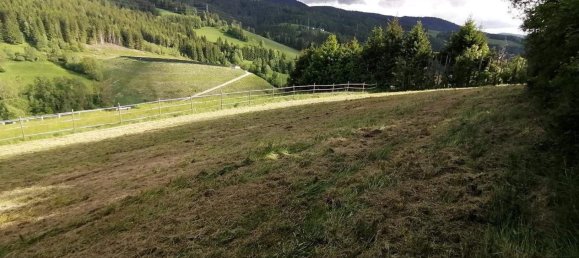 10غرفة منزل في Spital am Semmering, Austria رقم 131540 9