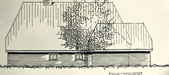 3 غرف نوم قلاع في Delmenhorst, Germany رقم 105786 34