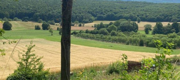 Land in Heiligenkreuz, Austria No. 153370 5