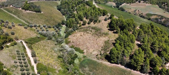 93260m² Land in Ripatransone, Italy No. 335360 15