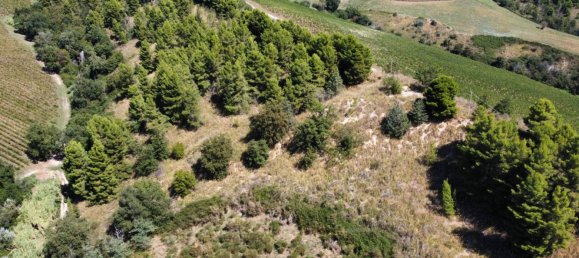 93260m² Land in Ripatransone, Italy No. 335360 2