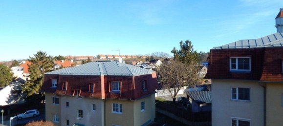 2 rooms Apartment in Fischamend, Austria No. 155844 9