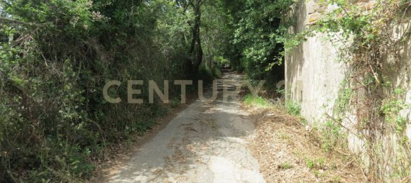 Studio in Roccastrada, Italy No. 279067 6