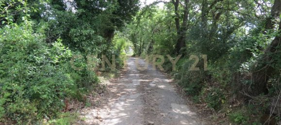 Studio in Roccastrada, Italy No. 279067 5