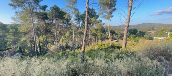 Land in Olivella, Spain No. 180208 6