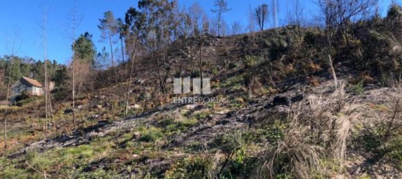  قطعة أرض في Baiao, Portugal 1320متر مربع رقم 56159 4