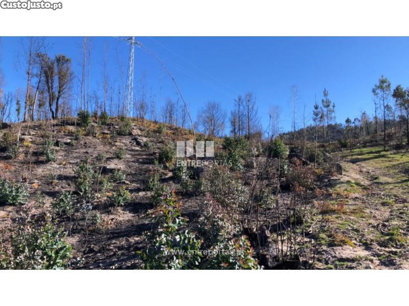  قطعة أرض في Baiao, Portugal 1320متر مربع رقم 56159