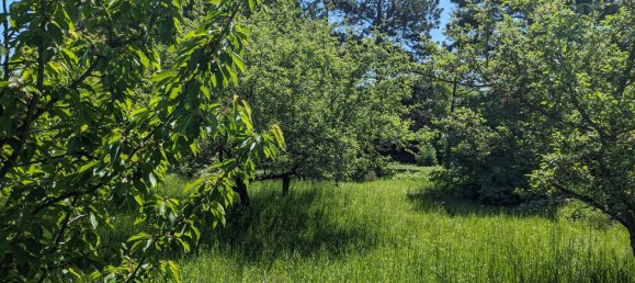 Land in Bad Fischau-Brunn, Austria No. 130483 9